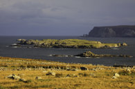 ISLANDS AT THE MOUTH OF LOCH ERIBOLL