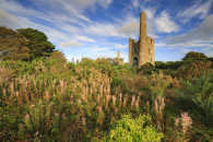 LATE SUMMER AT WHEAL PEEVOR