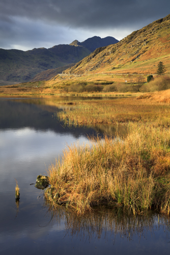 LLYN LOCKWOOD