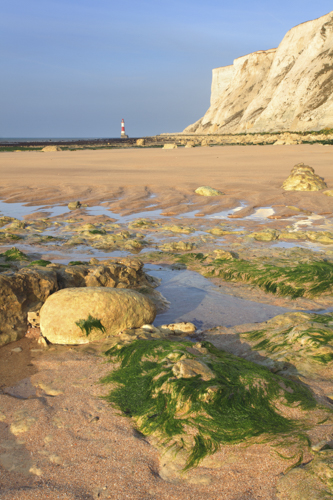 LOW TIDE AT FALLING SANDS