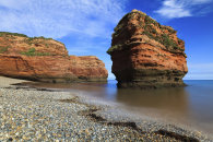 SANDSTONE SEA STACK (Ladram Bay)
