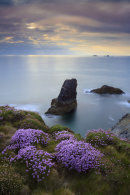 SEA STACKS AT TREYARNON