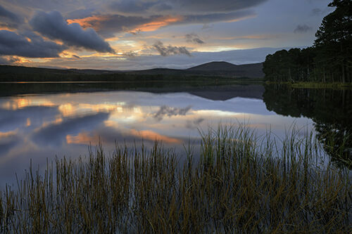 SUNRISE OVER LOCH GARTEN