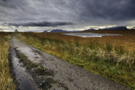 THE OLD ROAD (Moine Ho)