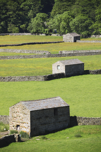 THREE BARNS (Swaledale)