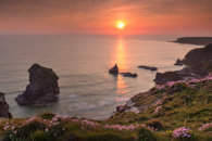 THRIFT AT SUNSET (Bedruthan Steps)
