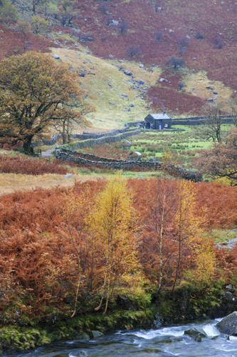 TOWARDS ALISONGRASS HOGHOUSE