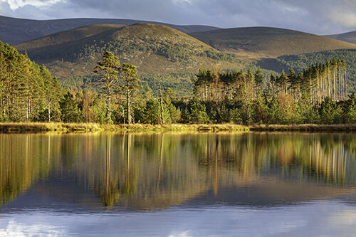 UATH LOCHANS