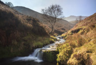 WATERFALLS IN FAIRBROOK
