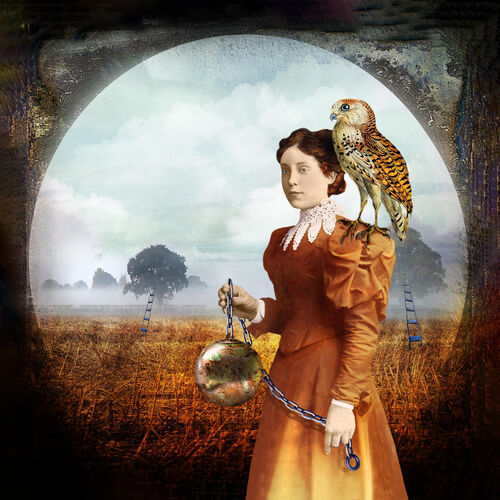 'Return to the Wild'