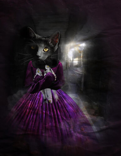 'Alley Cat' Greeting Card