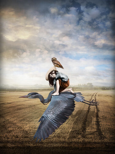 Big Sky Greeting Card