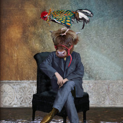 'Cock and Bull'