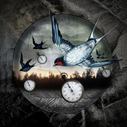 'Time Flies'