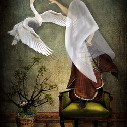 'Veiled Amity'