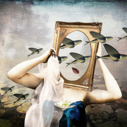 'Frame of Mind' Postcard