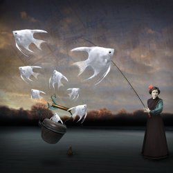 'A Fine Kettle of Fish'