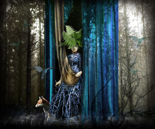 'Out of the Woods' Greeting Card