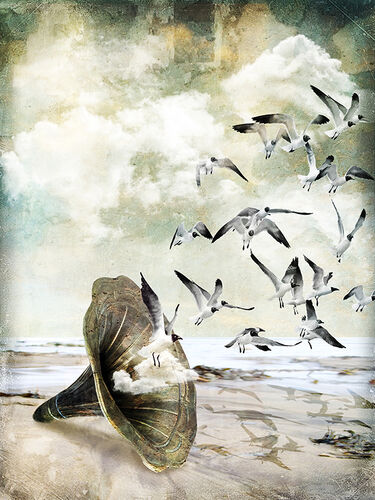 'Sounds of the Sea' Greeting Card