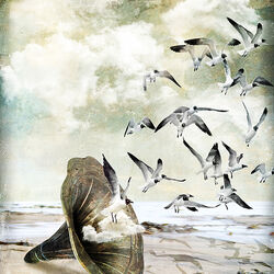 'Sounds of the Sea'