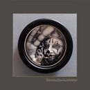 Royal Miniature Society Submissions