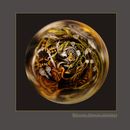 The Great Frog Competition