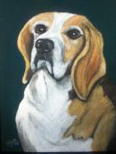 Bentley Beagle