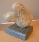 Zak- The Springer Spaniel