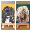 Tibetan Terriers