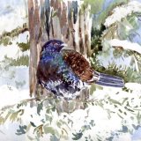 Capercaillie