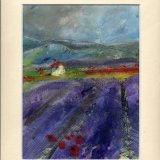 Drome Provencal Lavande