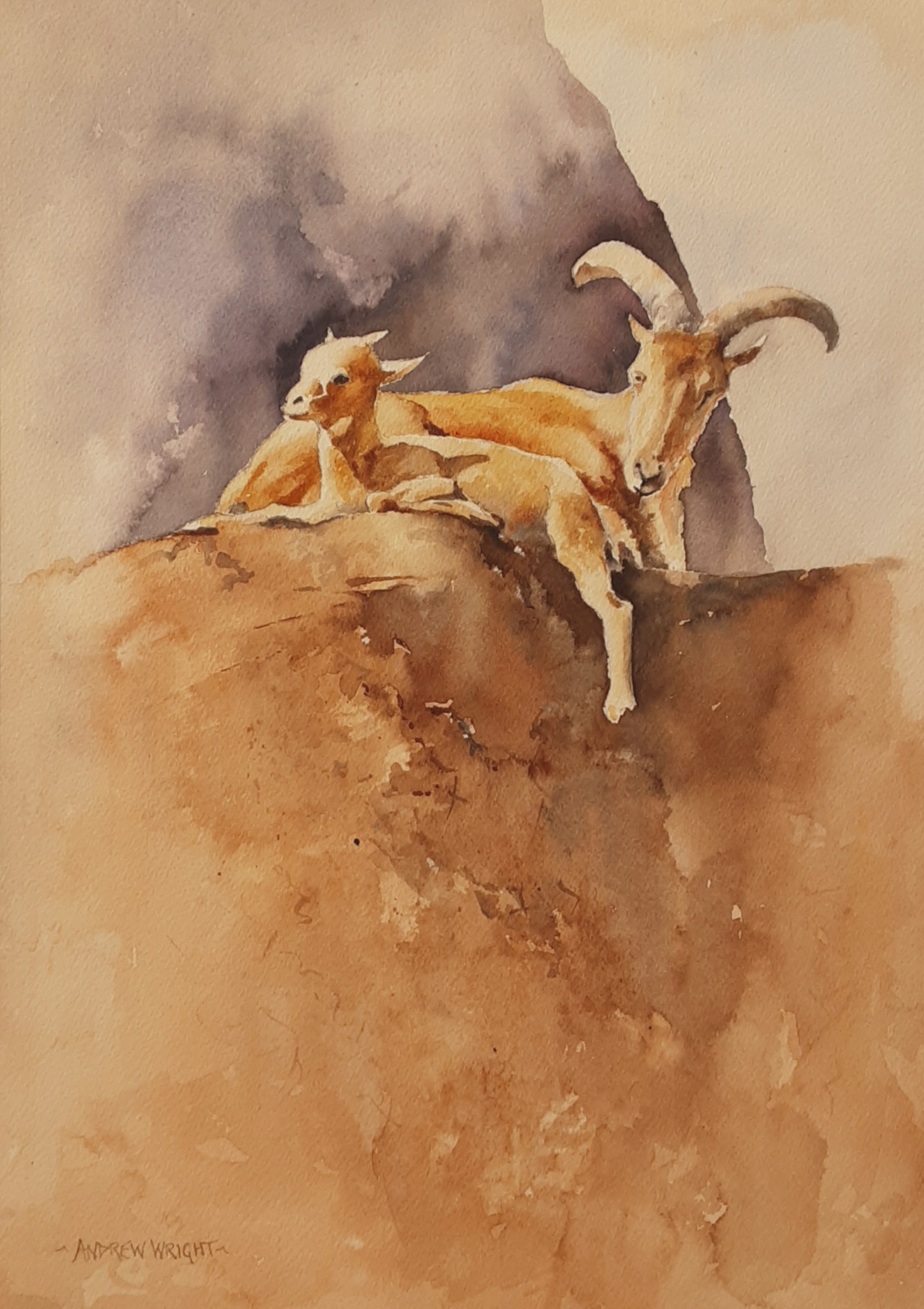      
  " BARBARY BLISS "  
Painted and selected for Sketch For Survival 2025

