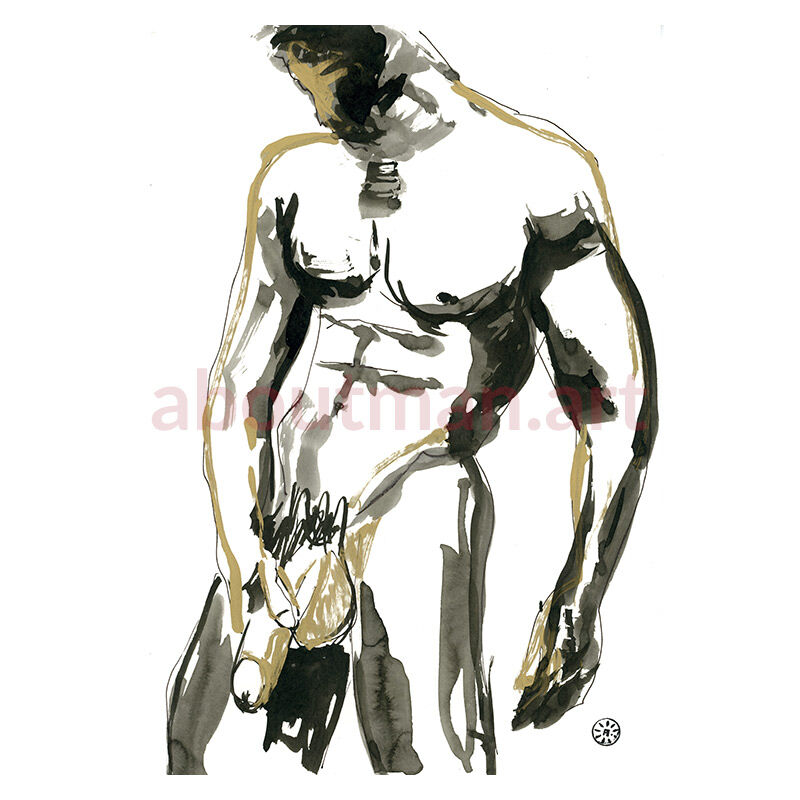 Well Hung - original homoerotic art on paper, male nude art, sex art for sale, buy male nude art online