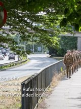 Adrian Harris Photography-1161