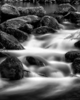 Teign Force B&W