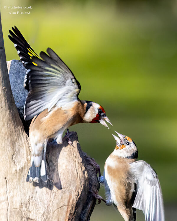 2D8A3763-Edit-Edit-Edit