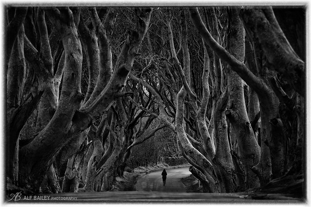Entwined