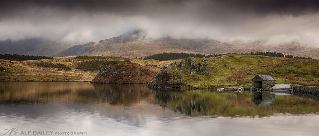 Misty Depths