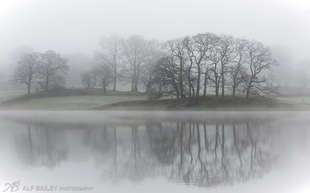 Mono Monday Morning