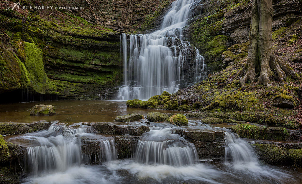 Scaleber Foss