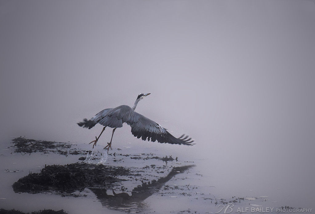 Take Off
