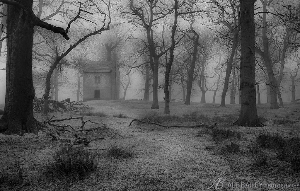 The Bane of Bogle Wood