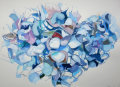 Hydrangea bloom 1, 2014
