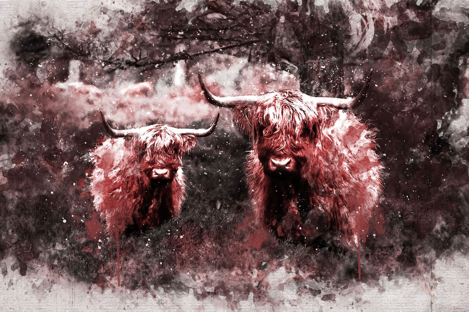 Highland Cows - Mixed Art Effect