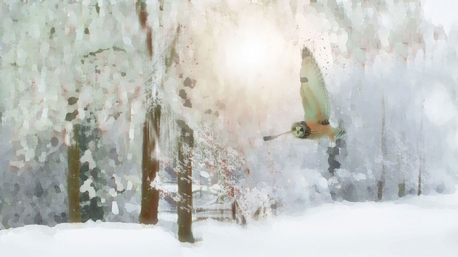 Barn Owl - Mixed Art Effect