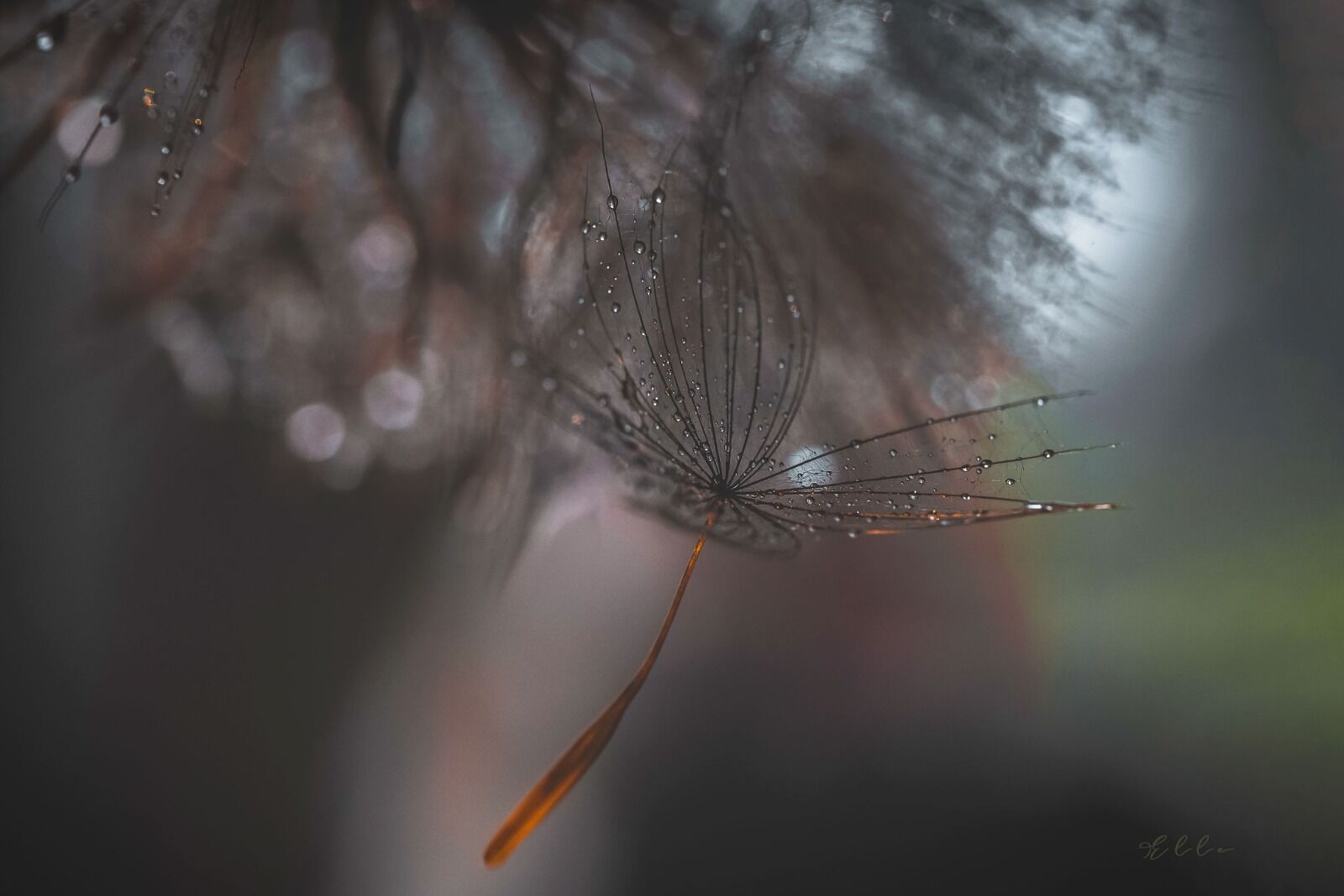 Hanging on