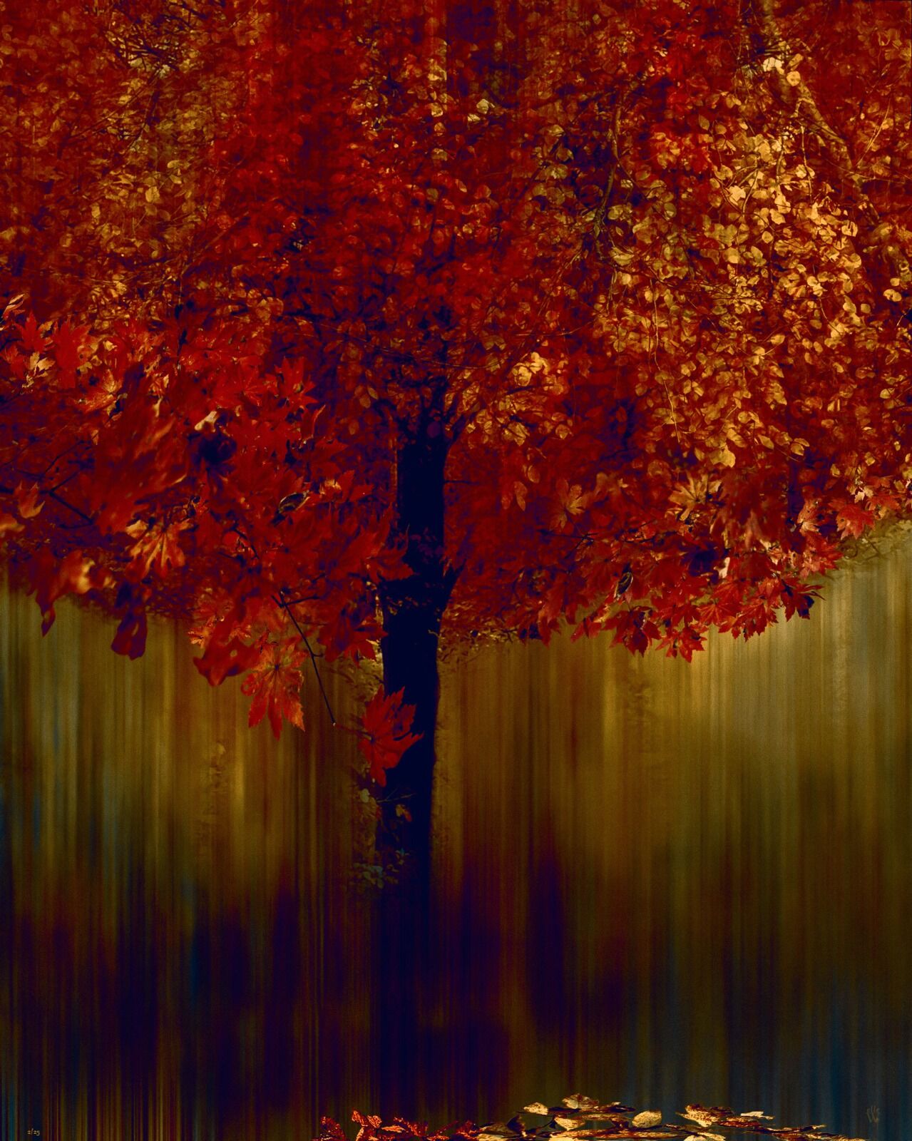 Autumnal Tree - Mixed Art Effect