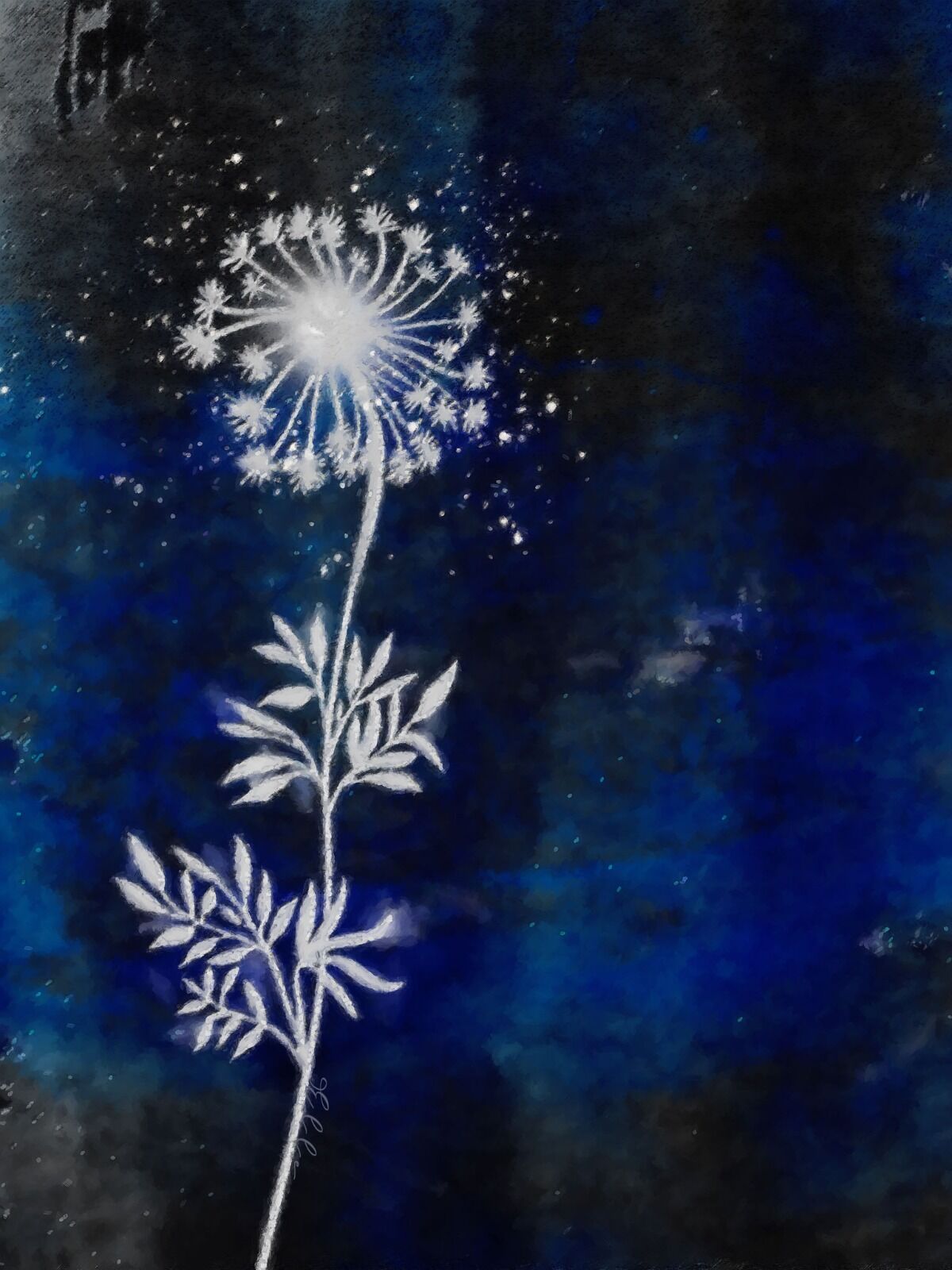 Plants by Moonlight