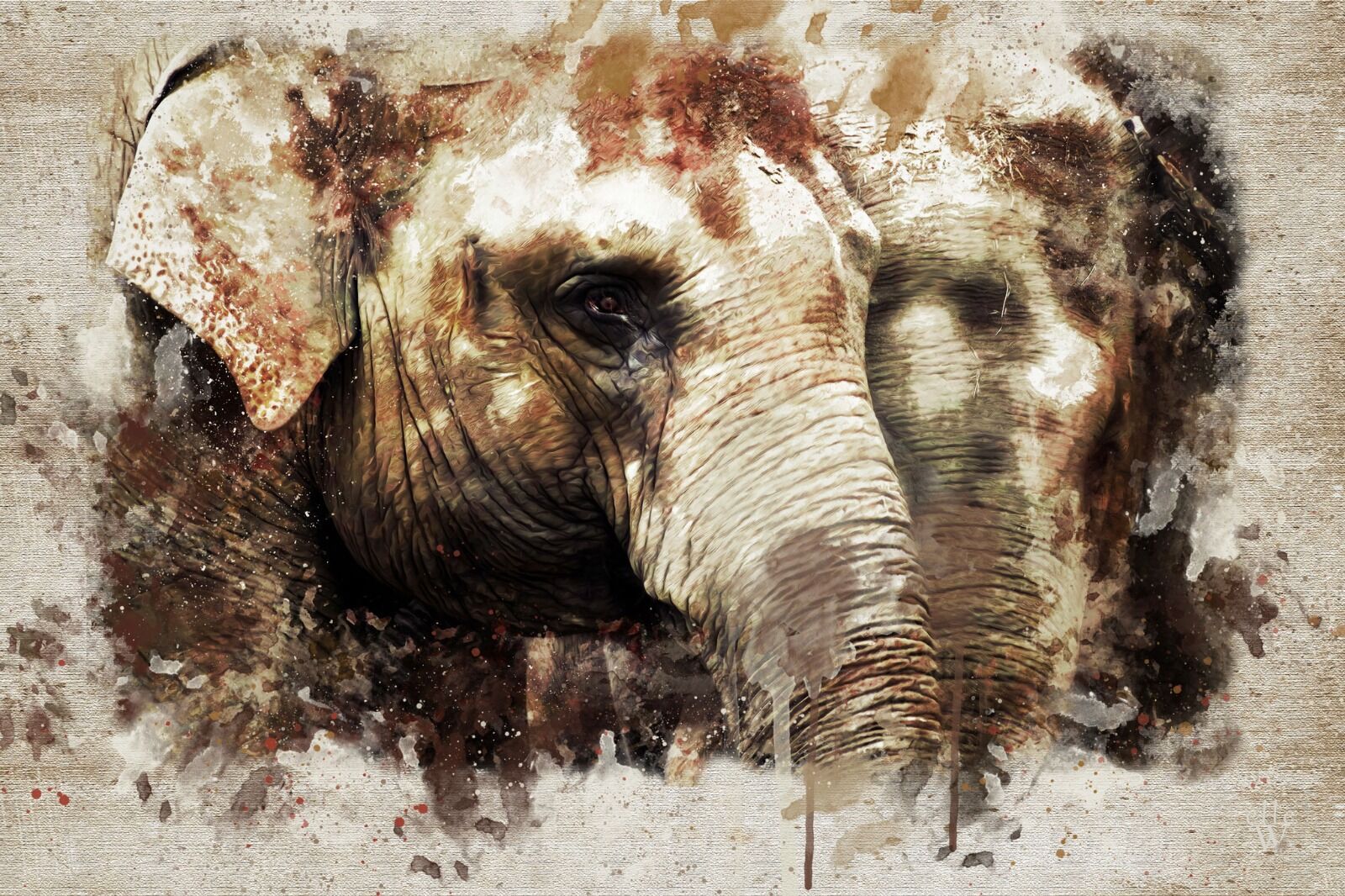 Elephants -Mixed Art Effect
