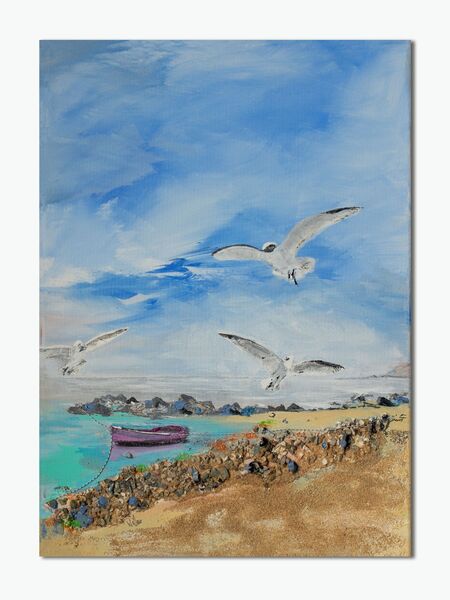 Coastal gulls
